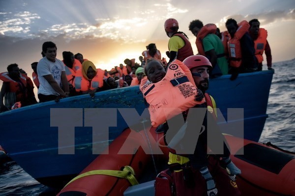 В 2016 году в Средиземном море погибло рекордное число мигрантов  - ảnh 1